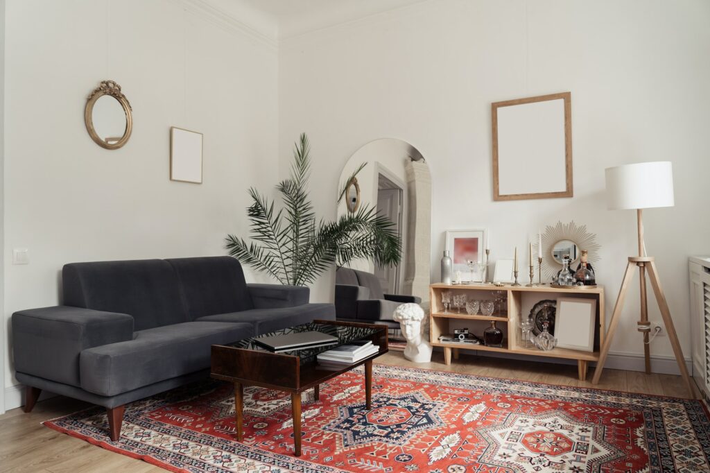 Interior design - sofa, a green plant, white walls